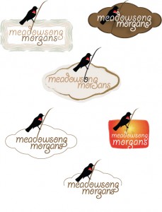 Meadowsong Morgans logo