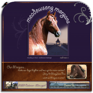 Meadowsong Morgans Website